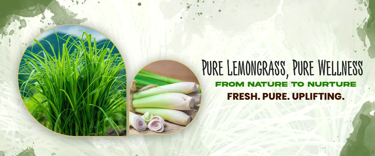 Lemongrass