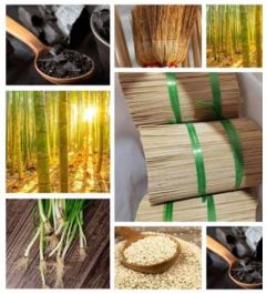 Steam Coal Manufacturers in Dimapur