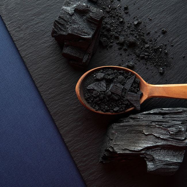 Steam Coal Manufacturers